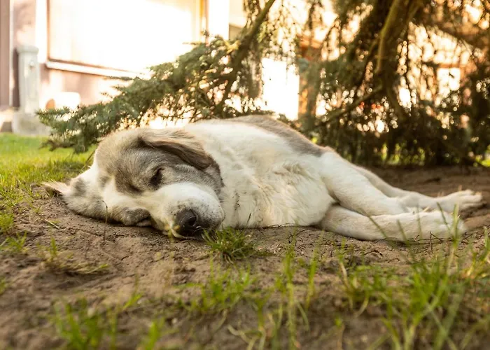 Διαμέρισμα Annerose